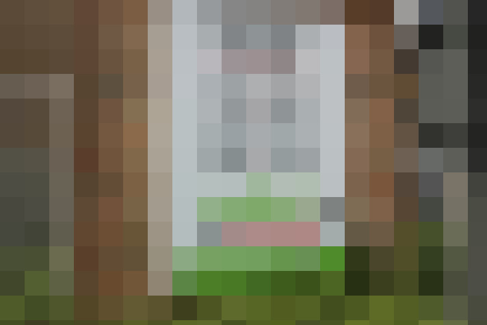 Image 40