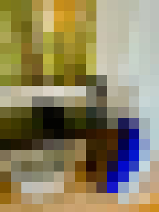 Image 16