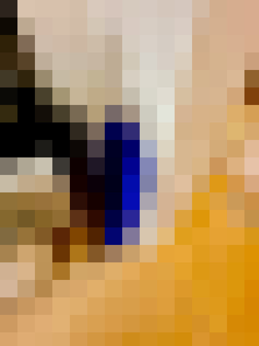 Image 26