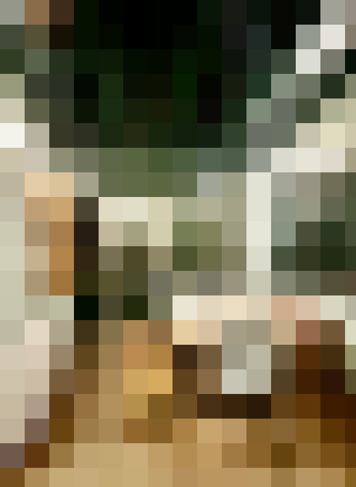 Image 22