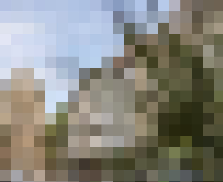 Image 16