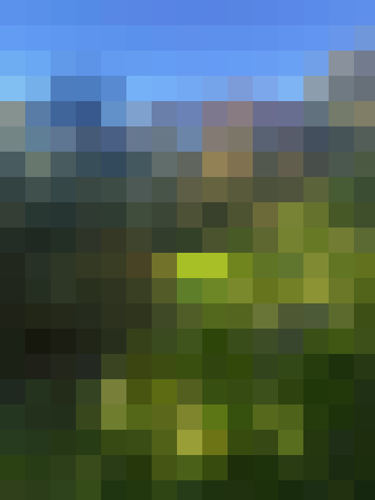 Image 13