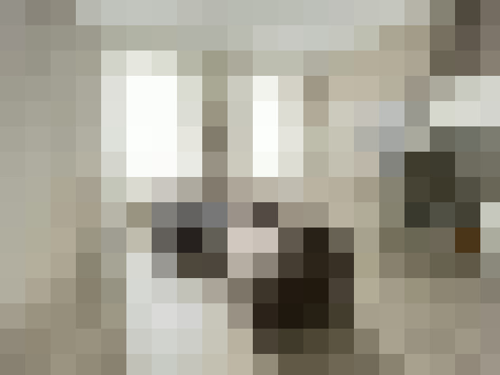 Image 17