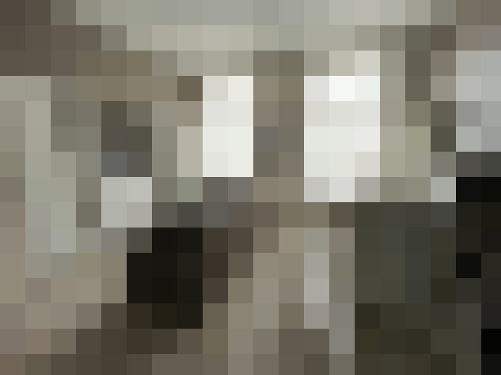 Image 15