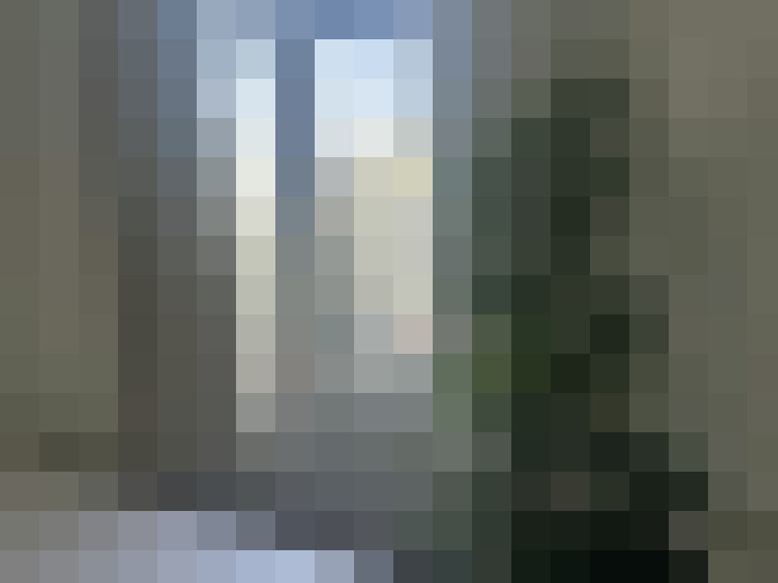 Image 15