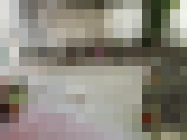 Image 14