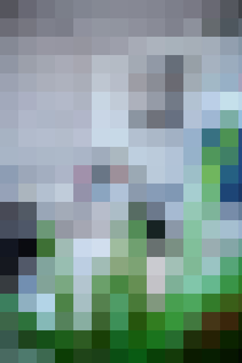 Image 16