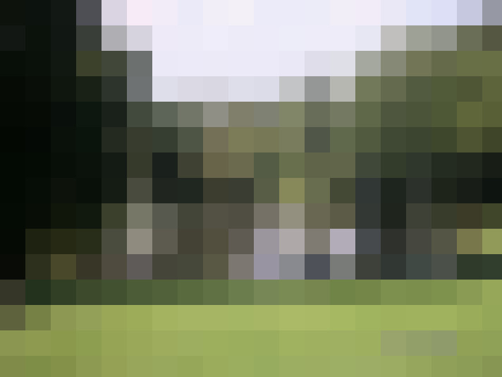 Image 25