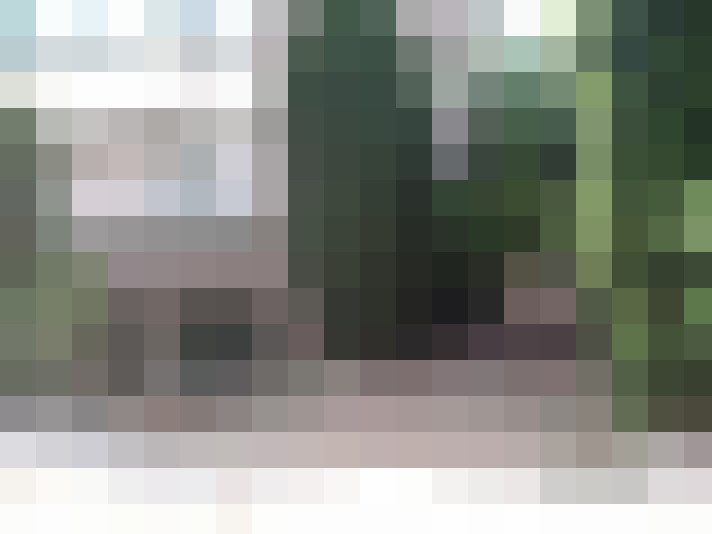 Image 22