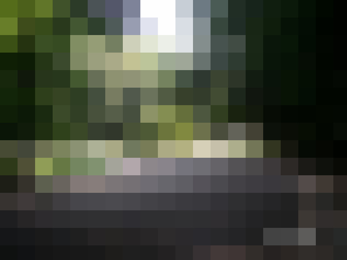Image 27