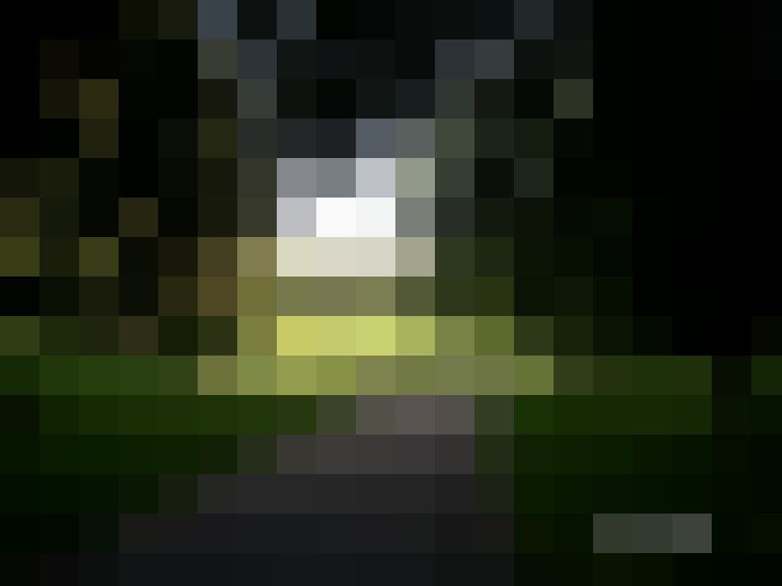 Image 26