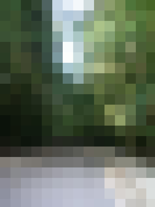 Image 29