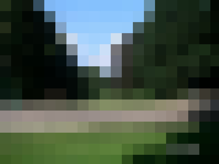 Image 28