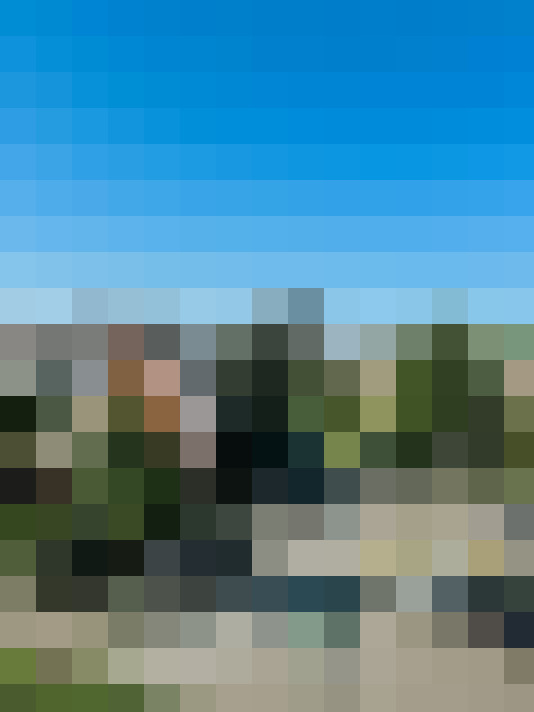 Image 20