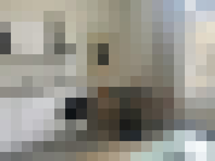 Image 13