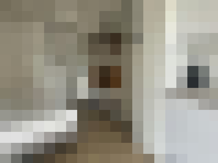 Image 15