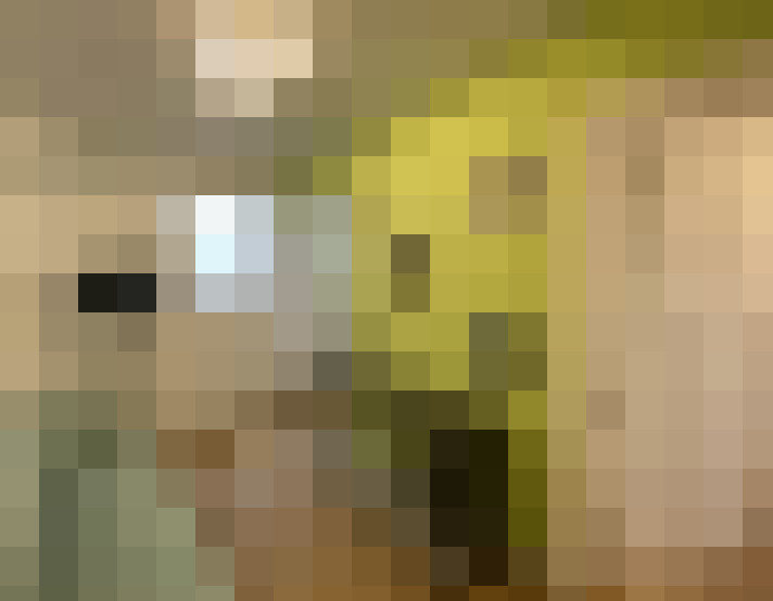 Image 17