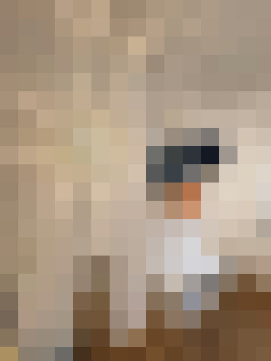 Image 17