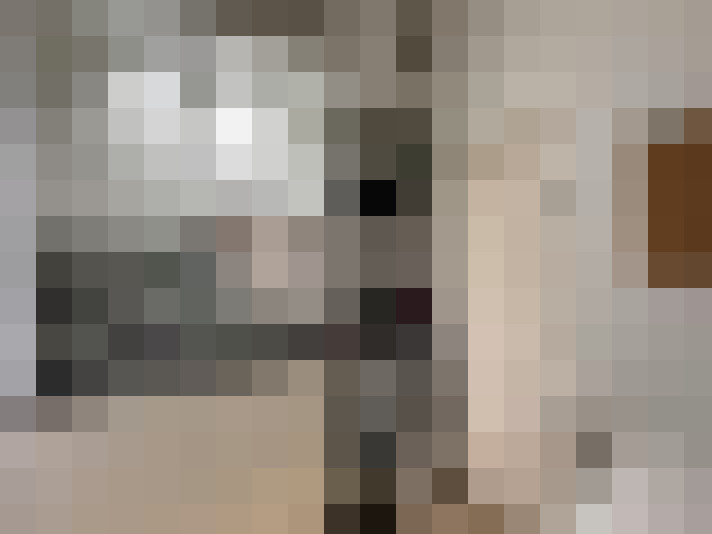 Image 22