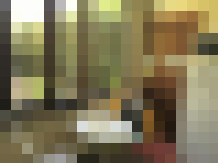 Image 20