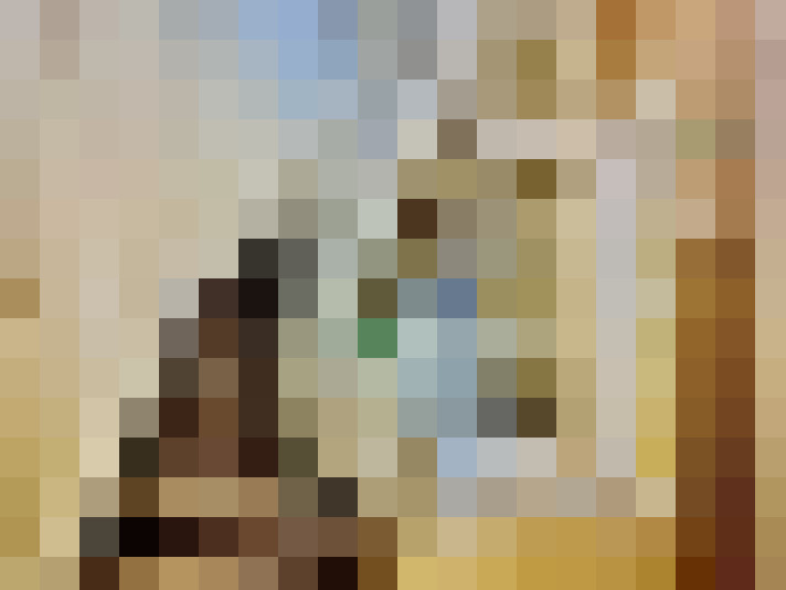 Image 13
