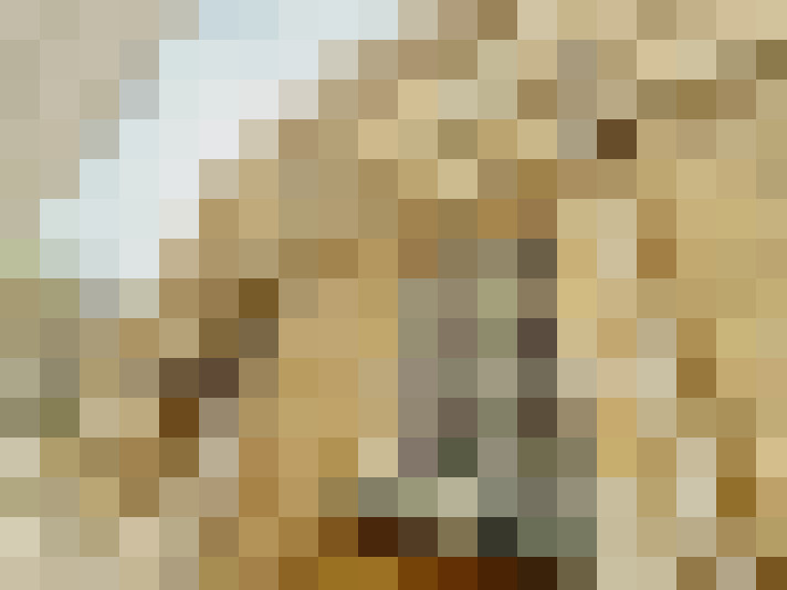 Image 26