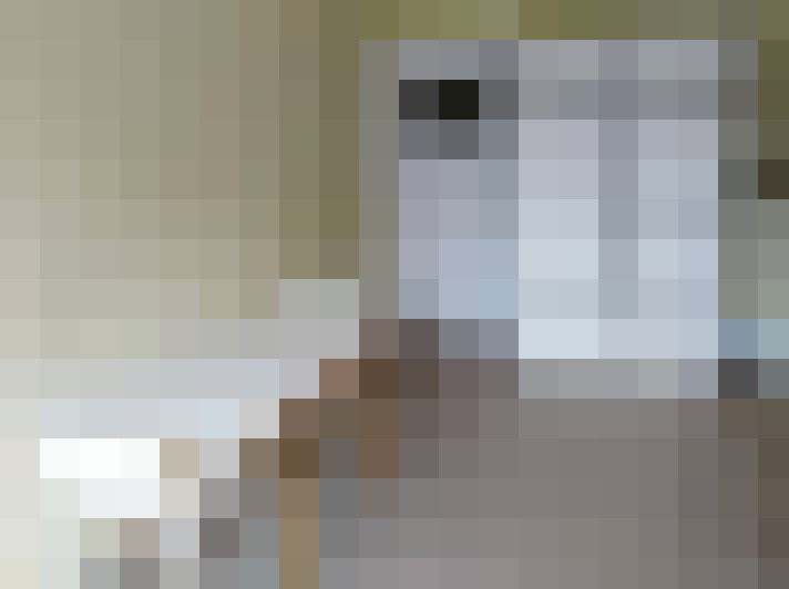 Image 13