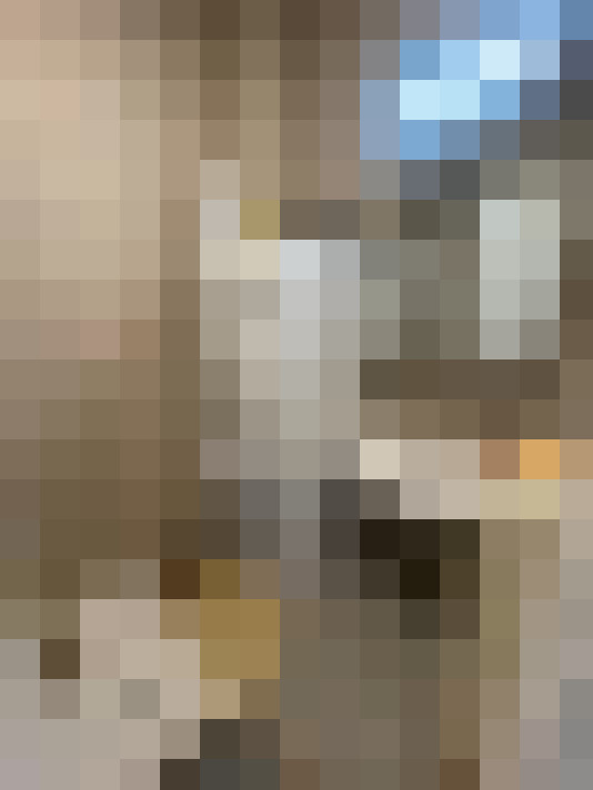 Image 13