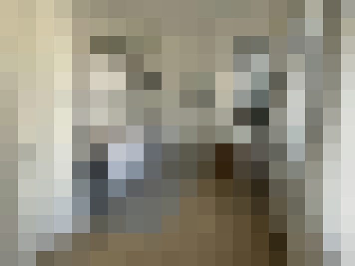 Image 41