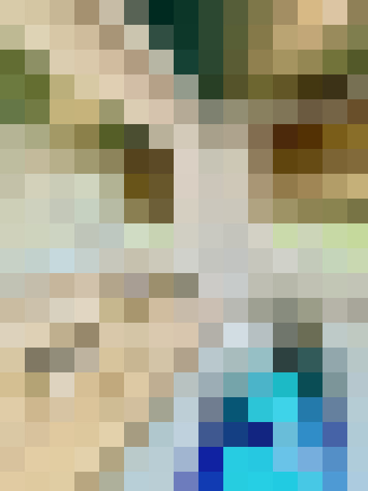 Image 22