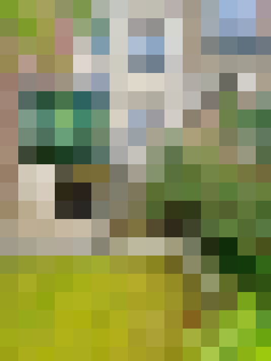 Image 23