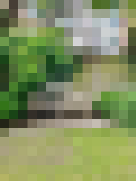 Image 24