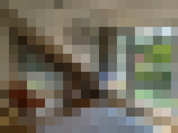 Image 14