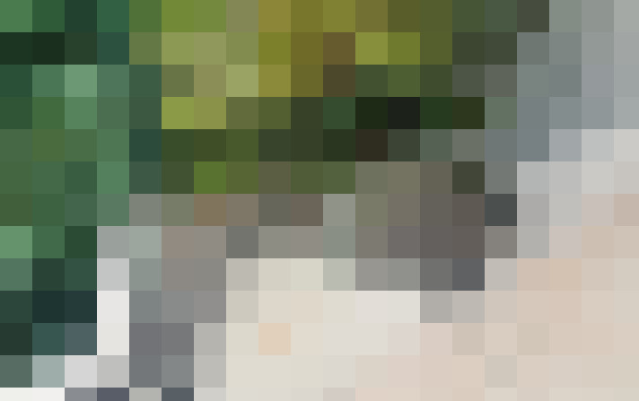 Image 16