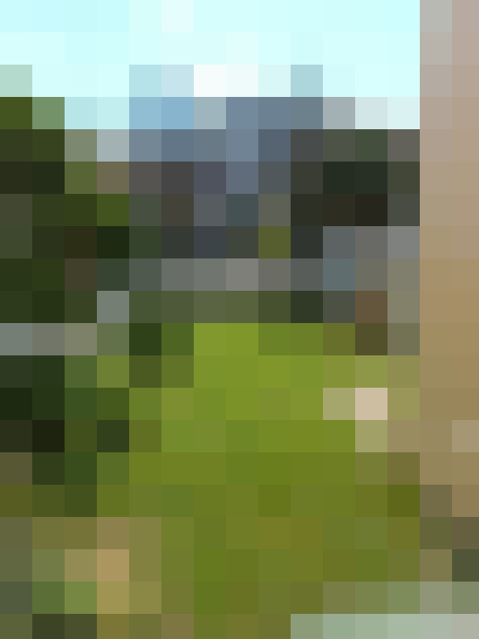 Image 20
