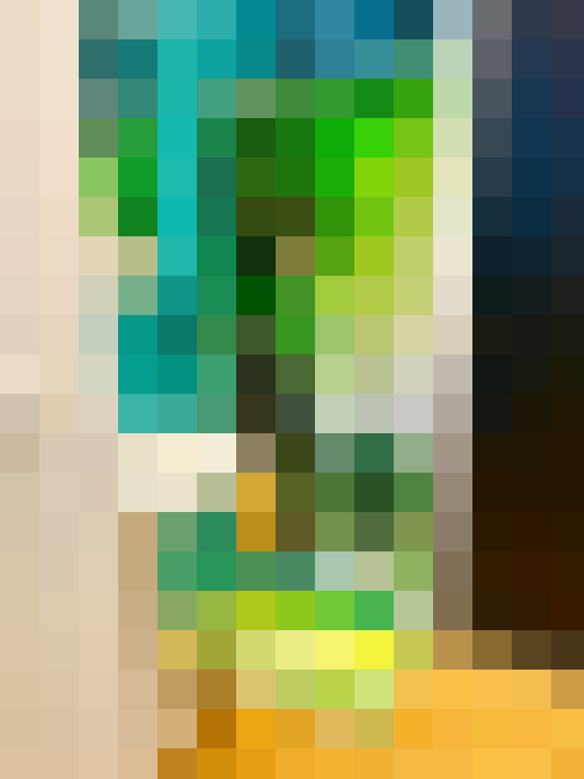 Image 15