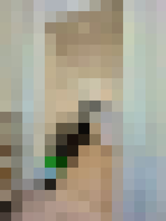 Image 13