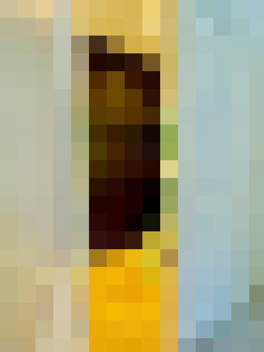 Image 16