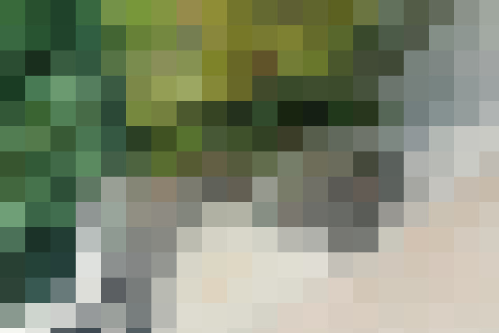 Image 18