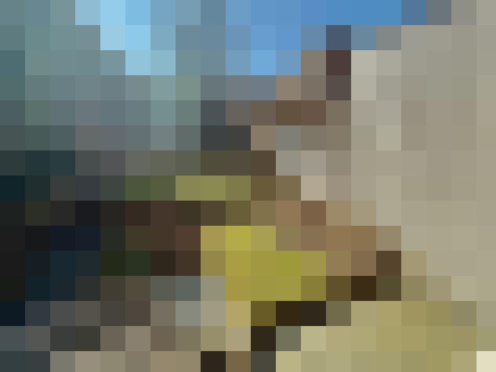 Image 21
