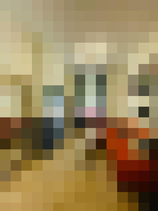 Image 40