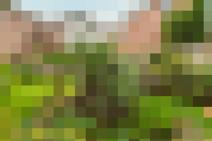 Image 17