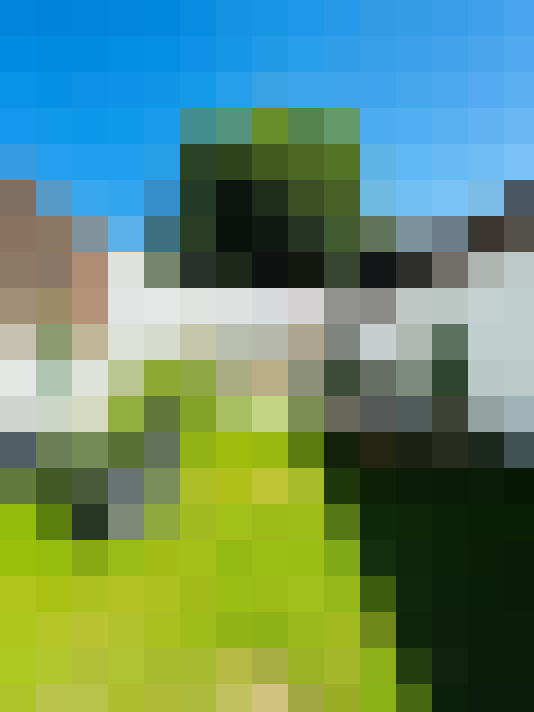 Image 9