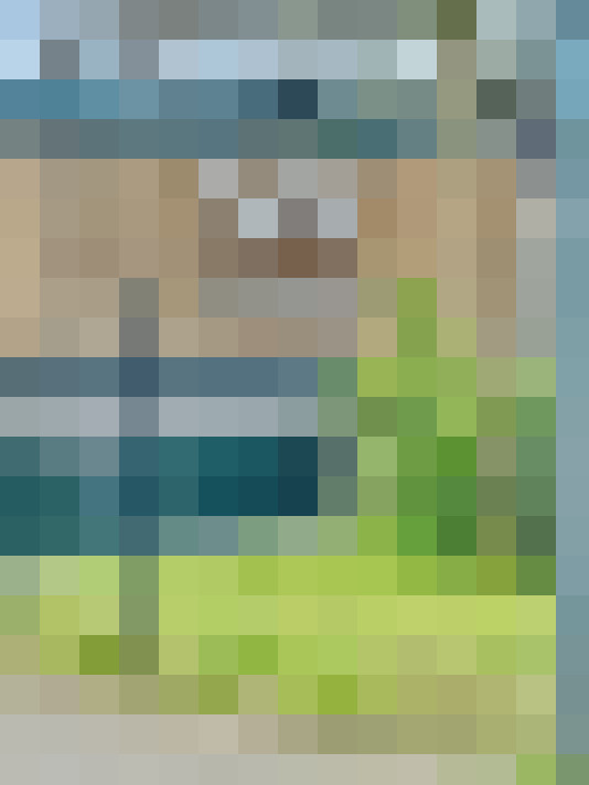 Image 25