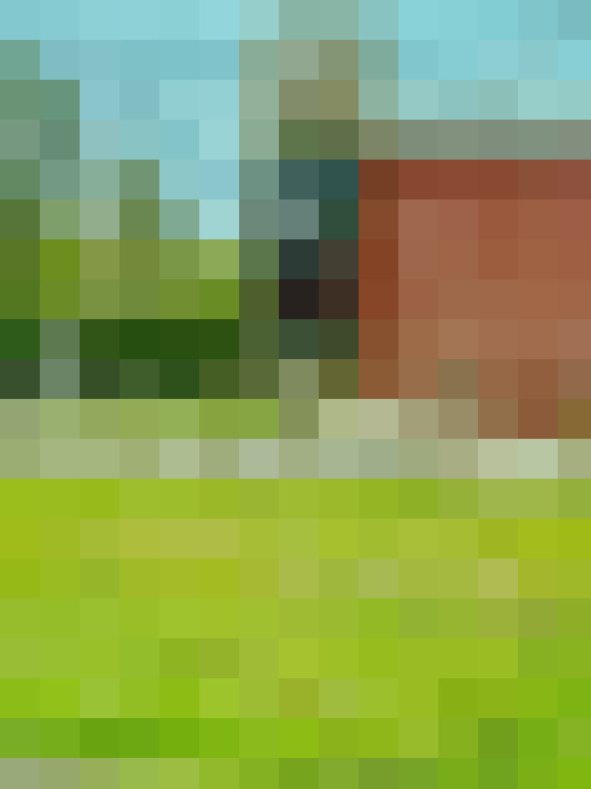Image 26