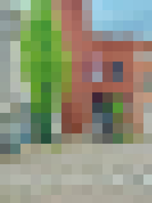 Image 24