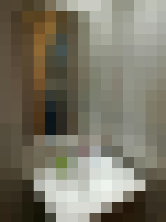 Image 14