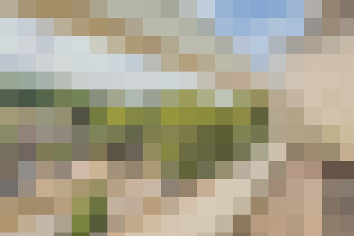 Image 13