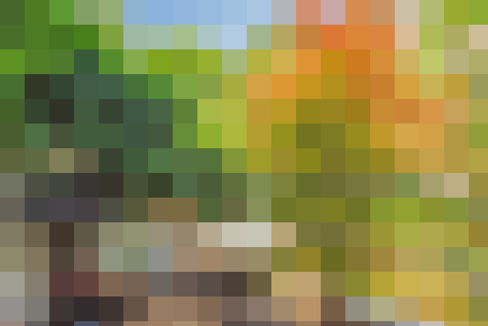 Image 17