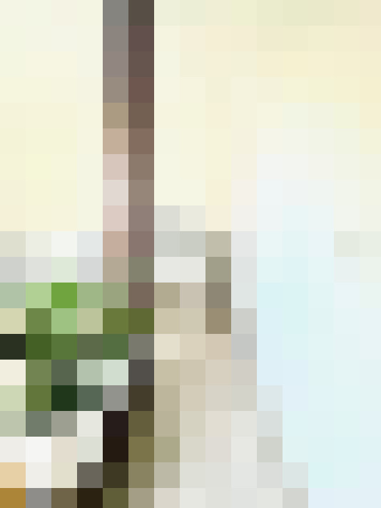 Image 29